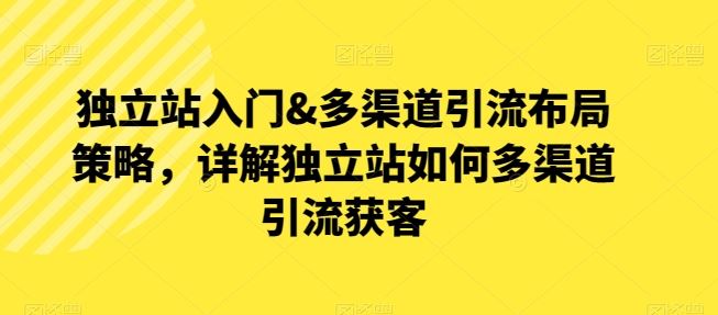 独立站入门&多渠道引流布局策略，详解独立站如何多渠道引流获客-邪修侠 - 演示