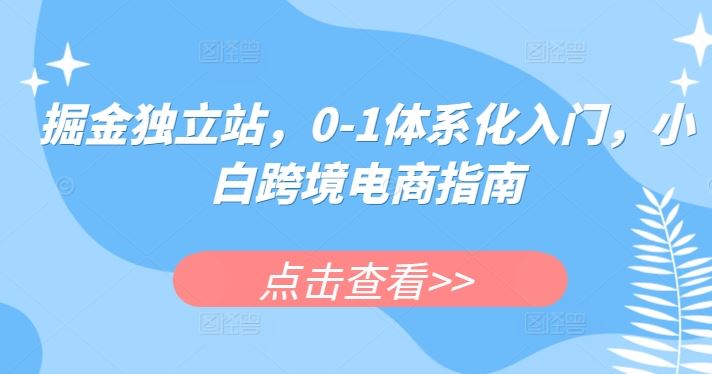 掘金独立站，0-1体系化入门，小白跨境电商指南-网亿资源平台