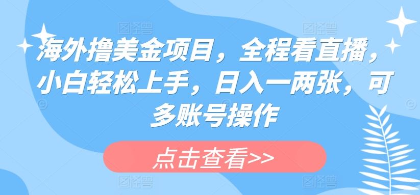 海外撸美金项目，全程看直播，小白轻松上手，日入一两张，可多账号操作【揭秘】-邪修侠 - 演示