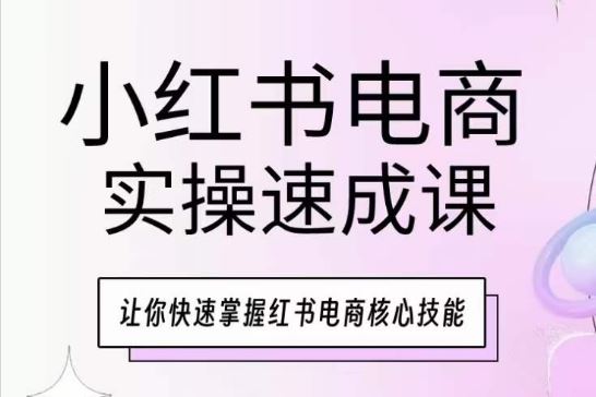 小红书电商实操速成课，让你快速掌握红书电商核心技能-网亿资源平台