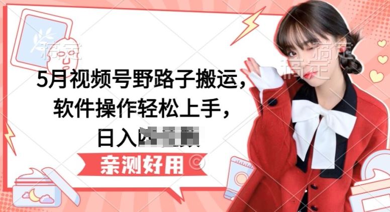 5月视频号野路子搬运，软件操作轻松上手，日入三位数【揭秘】-网亿资源平台