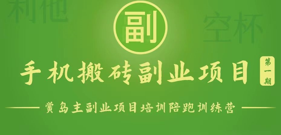手机搬砖小副业项目训练营1.0，能用手机做的简单小副业-邪修侠 - 演示