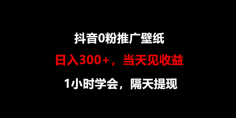 日入300+，抖音0粉推广壁纸，1小时学会，当天见收益，隔天提现-邪修侠 - 演示