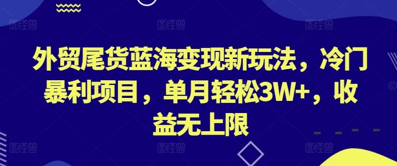 外贸尾货蓝海变现新玩法，冷门暴利项目，单月轻松3W+，收益无上限【揭秘】-网亿资源平台