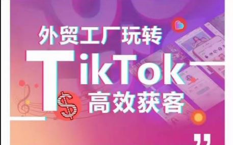 外贸工厂玩转TikTok高效获客，多种引流方式与账号定位技巧，拆解爆款短视频打造成功案例-网亿资源平台