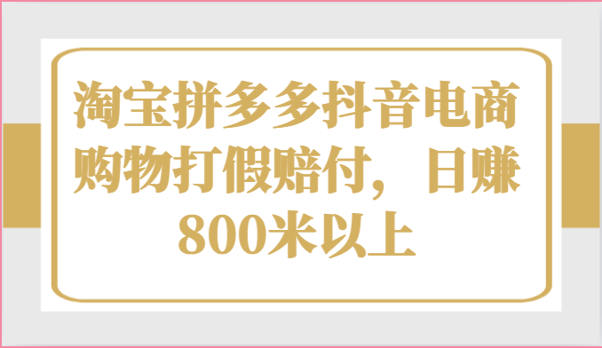 淘宝拼多多抖音电商购物打假赔付，日赚800米以上-邪修侠 - 演示