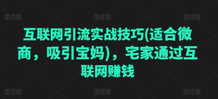 互联网引流实战技巧(适合微商，吸引宝妈)，宅家通过互联网赚钱-网亿资源平台