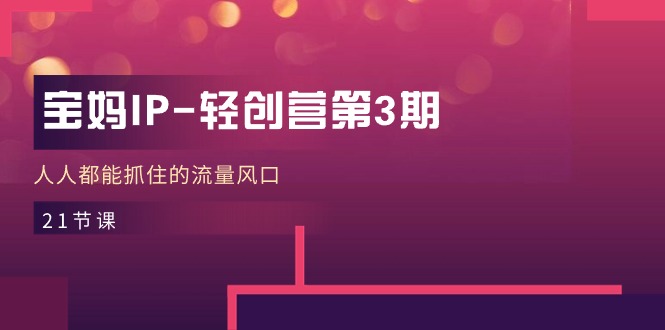 宝妈IP轻创营第3期，人人都能抓住的流量风口（21节课）-网亿资源平台