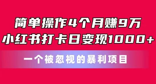 简单操作4个月赚9w，小红书打卡日变现1k，一个被忽视的暴力项目【揭秘】-网亿资源平台