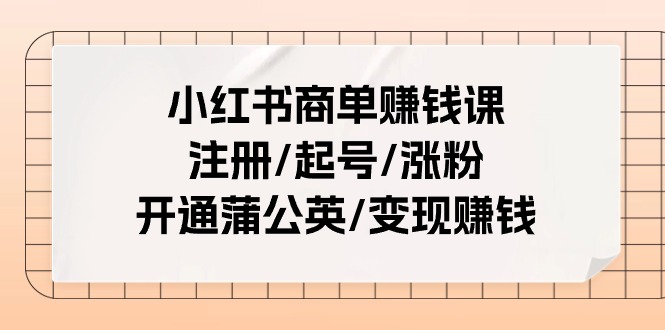 小红书商单赚钱课：注册/起号/涨粉/开通蒲公英/变现赚钱（25节课）-网亿资源平台