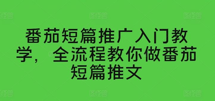 番茄短篇推广入门教学，全流程教你做番茄短篇推文-网亿资源平台
