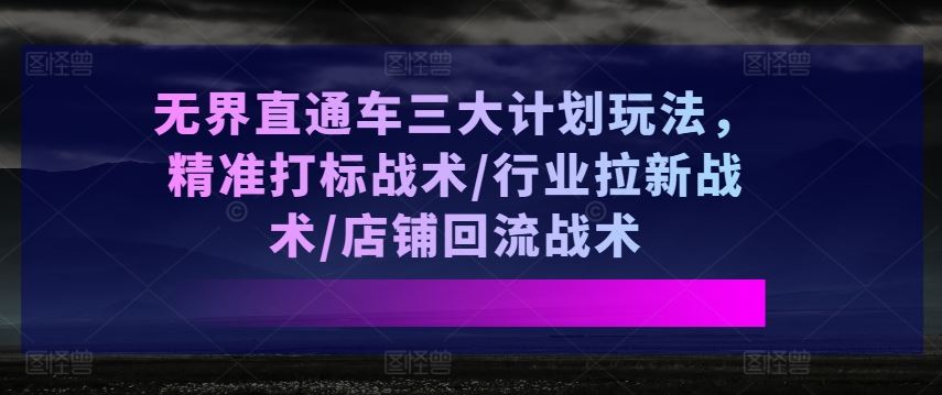 无界直通车三大计划玩法，精准打标战术/行业拉新战术/店铺回流战术-网亿资源平台