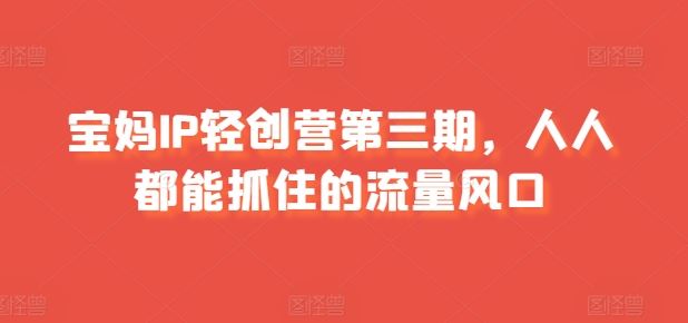 宝妈IP轻创营第三期，人人都能抓住的流量风口-网亿资源平台