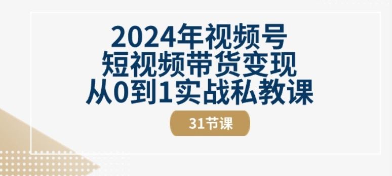 2024年视频号短视频带货变现从0到1实战私教课(31节视频课)-网亿资源平台