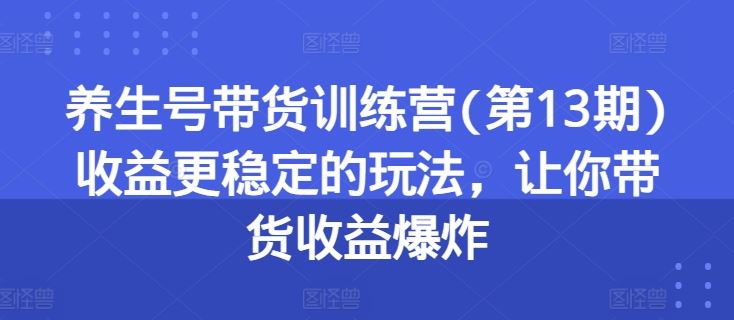 养生号带货训练营(第13期)收益更稳定的玩法，让你带货收益爆炸-邪修侠 - 演示