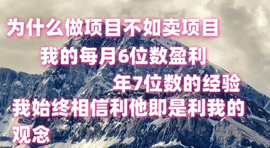 做项目不如卖项目，每月6位数盈利，年7位数经验-网亿资源平台