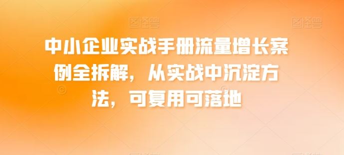 中小企业实战手册流量增长案例全拆解，从实战中沉淀方法，可复用可落地-网亿资源平台