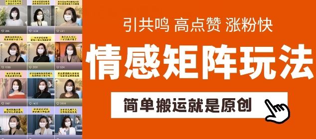 简单搬运,情感矩阵玩法,涨粉速度快,可带货,可起号【揭秘】-邪修侠 - 演示