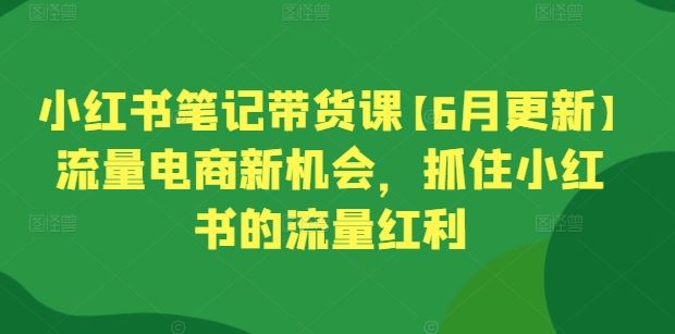 小红书笔记带货课【6月更新】流量电商新机会，抓住小红书的流量红利-网亿资源平台