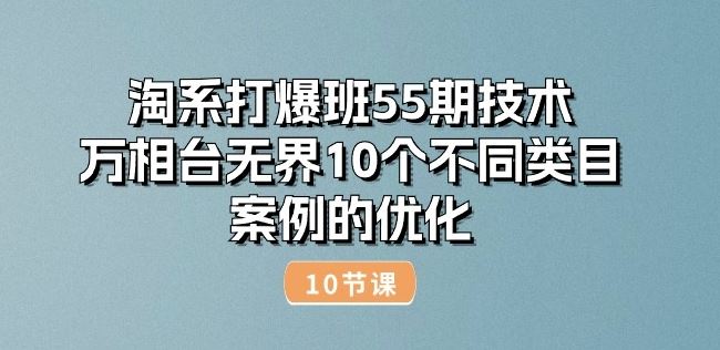 淘系打爆班55期技术：万相台无界10个不同类目案例的优化(10节)-网亿资源平台