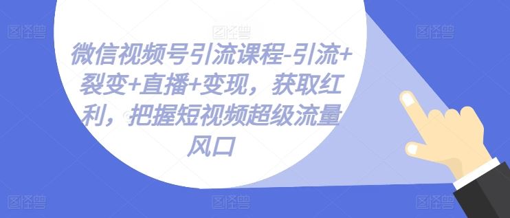 微信视频号引流课程-引流+裂变+直播+变现，获取红利，把握短视频超级流量风口-网亿资源平台