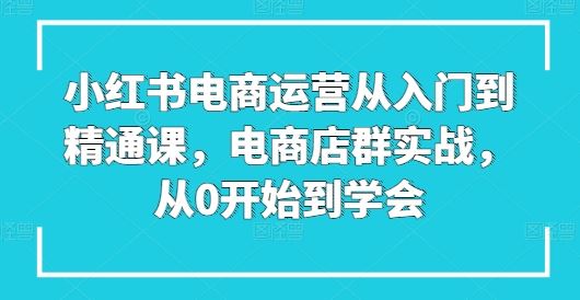 小红书电商运营从入门到精通课，电商店群实战，从0开始到学会-网亿资源平台