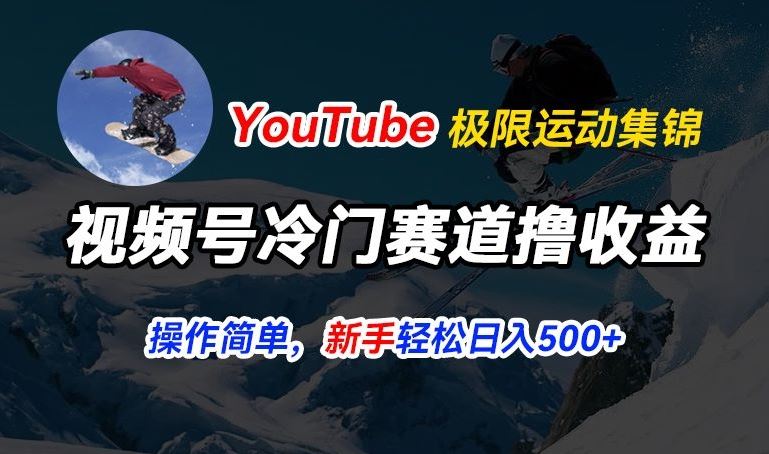 视频号冷门赛道撸收益，YouTube搬运极限运动集锦，暴力起号，操作简单流量高，轻松日入5张【揭秘】-网亿资源平台