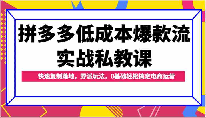 拼多多低成本爆款流实战私教课，快速复制落地，野派玩法，0基础轻松搞定电商运营-网亿资源平台