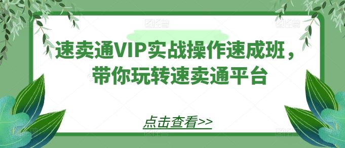 速卖通VIP实战操作速成班，带你玩转速卖通平台-网亿资源平台