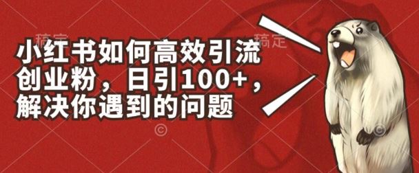 小红书如何高效引流创业粉，日引100+，解决你遇到的问题【揭秘】-网亿资源平台