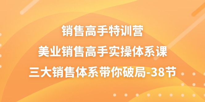 销售高手特训营，美业销售高手实操体系课，三大销售体系带你破局（38节）-网亿资源平台