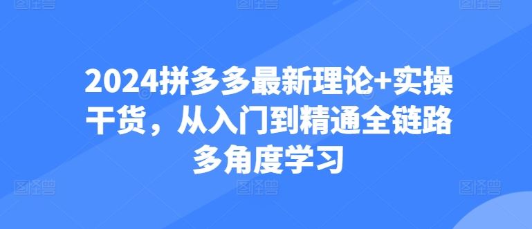 2024拼多多最新理论+实操干货，从入门到精通全链路多角度学习-网亿资源平台