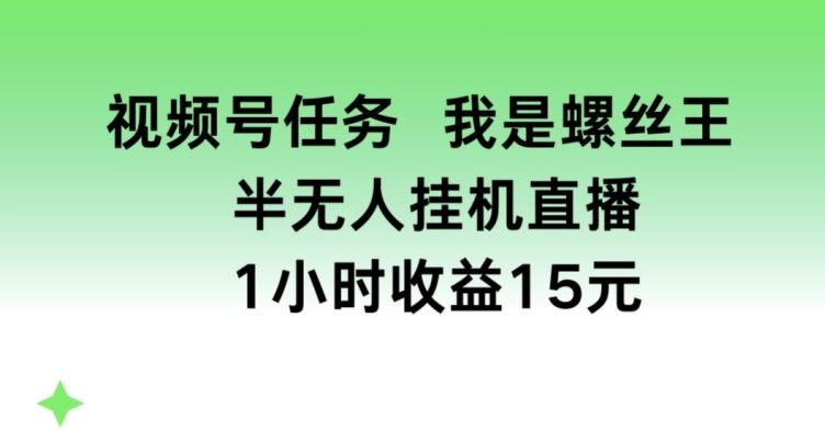 视频号任务，我是螺丝王， 半无人挂机1小时收益15元【揭秘】-网亿资源平台