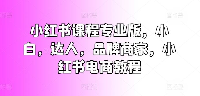 小红书课程专业版，小白，达人，品牌商家，小红书电商教程-网亿资源平台
