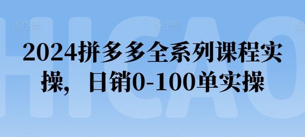 2024拼多多全系列课程实操，日销0-100单实操【必看】-网亿资源平台