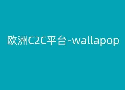 欧洲C2C平台-wallapop-kim跨境电商教程-网亿资源平台