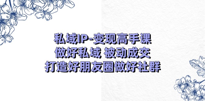 私域IP变现高手课：做好私域被动成交，打造好朋友圈做好社群（18节）-网亿资源平台