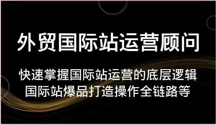 外贸国际站运营顾问-快速掌握国际站运营的底层逻辑，国际站爆品打造操作全链路等-网亿资源平台