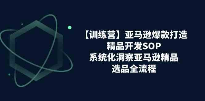 亚马逊爆款打造之精品开发SOP【训练营】，系统化洞察亚马逊精品选品全流程-网亿资源平台
