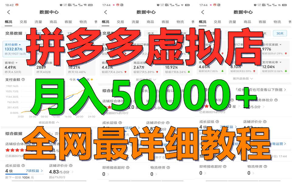 拼多多虚拟电商训练营月入50000+你也行,暴利稳定长久,副业首选-邪修侠 - 演示