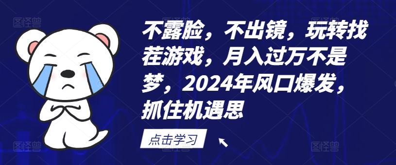 不露脸，不出镜，玩转找茬游戏，月入过万不是梦，2024年风口爆发，抓住机遇【揭秘】-网亿资源平台