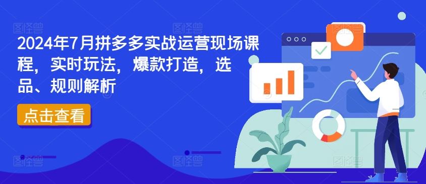 2024年7月拼多多实战运营现场课程，实时玩法，爆款打造，选品、规则解析-网亿资源平台