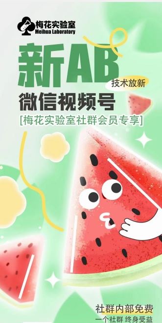 梅花实验室2024年AB技术视频号AB合成破解版-网亿资源平台