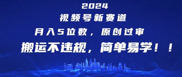 2024视频号新赛道，月入5位数+，原创过审，搬运不违规，简单易学【揭秘】-网亿资源平台
