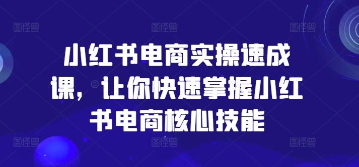 小红书电商实操速成课，让你快速掌握小红书电商核心技能-网亿资源平台