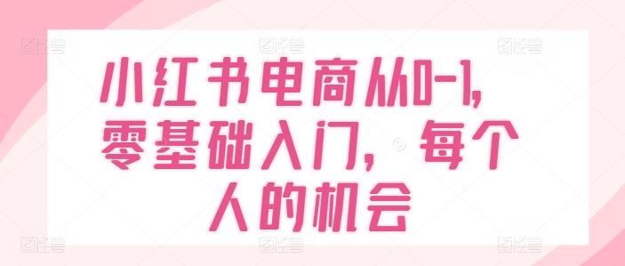 小红书电商从0-1，零基础入门，每个人的机会-网亿资源平台