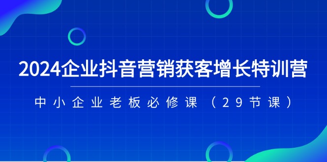 2024企业抖音营销获客增长特训营，中小企业老板必修课（29节课）-网亿资源平台