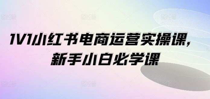 1V1小红书电商运营实操课，新手小白必学课-网亿资源平台