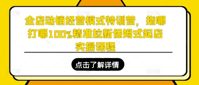 全店动销经营模式特训营，指哪打哪100%精准拉新保姆式起店实操课程-网亿资源平台
