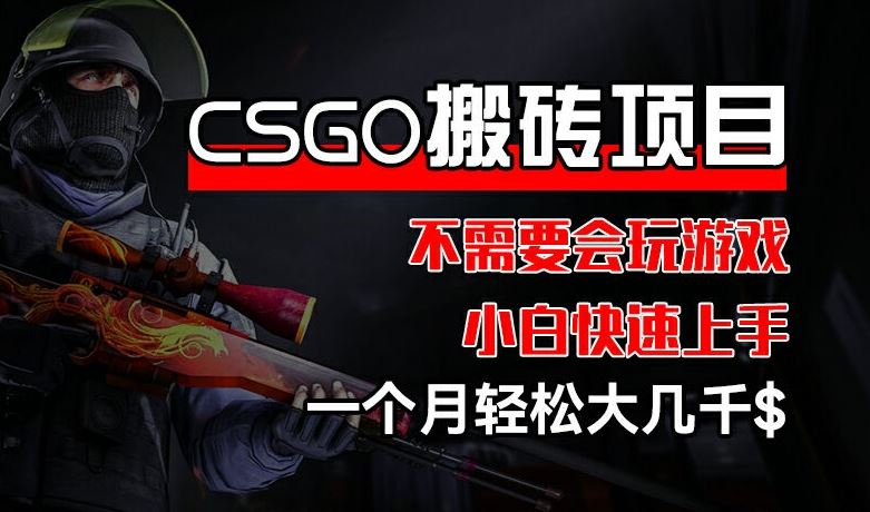 CSGO 装备搬砖项目，操作简单，不需要会玩游戏，小白也能快速上手，一个月轻松大几千【揭秘】-邪修侠 - 演示